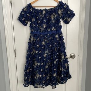 Blue Floral Lace Dress